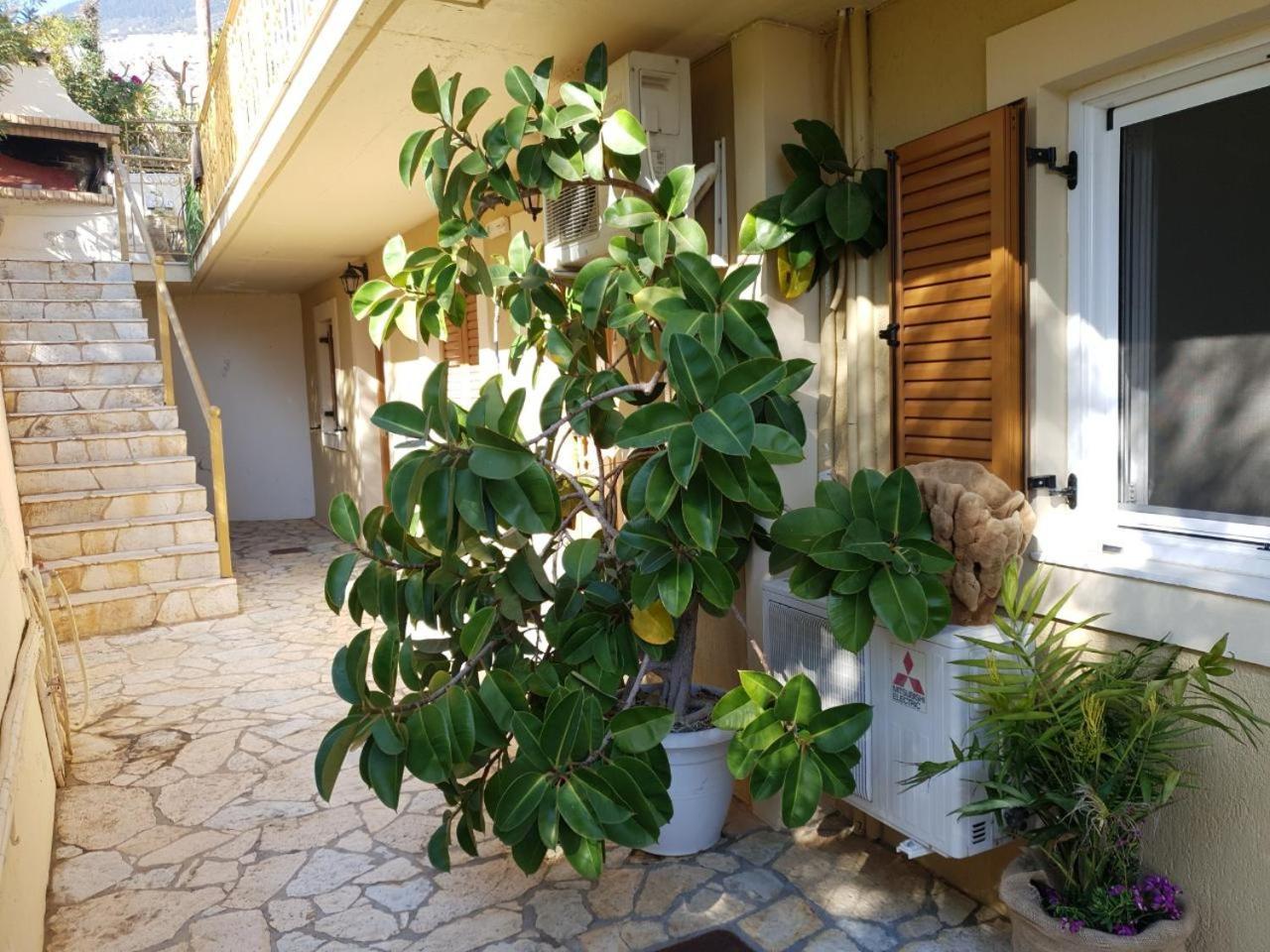 Epi Apartments 劳德哈塔 外观 照片